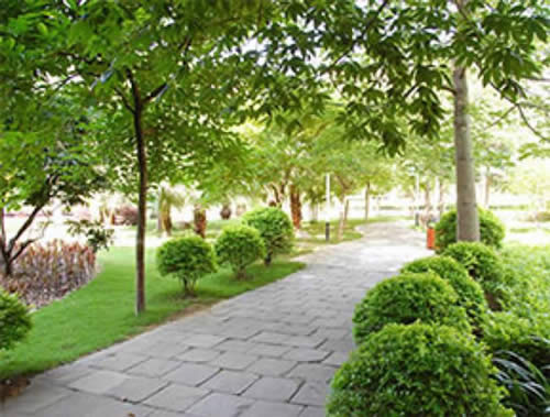 20240131141654311.jpg写字楼图片12524